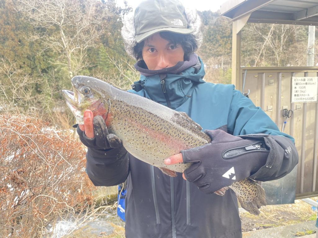 【頂鱒５０ｃｍ】全体