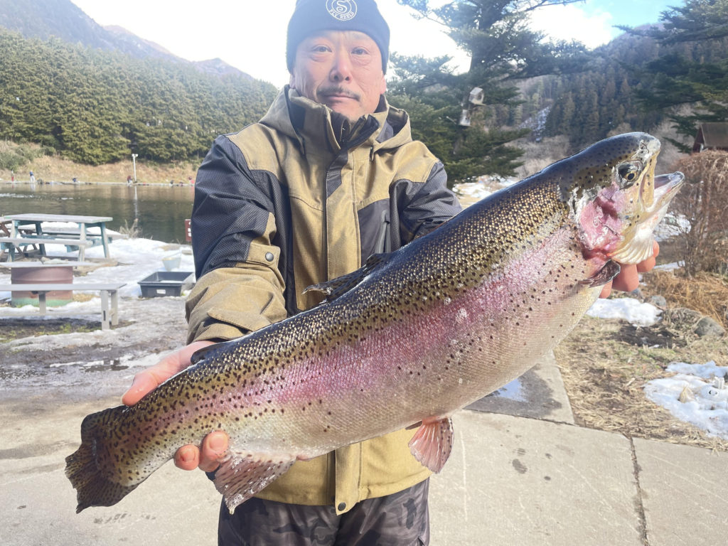 【頂鱒７５ｃｍ】全体