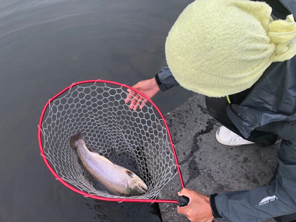 【ロックトラウト５８ｃｍ】全体