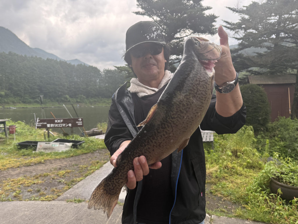 【驚ロック５３ｃｍ】全体