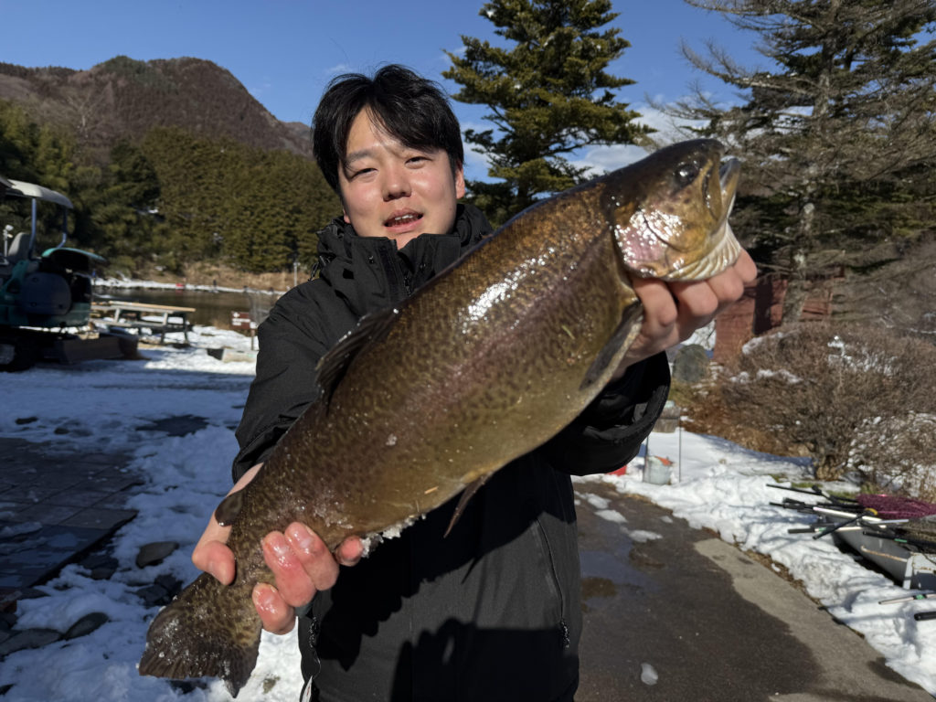 【驚ロック５５ｃｍ】全体