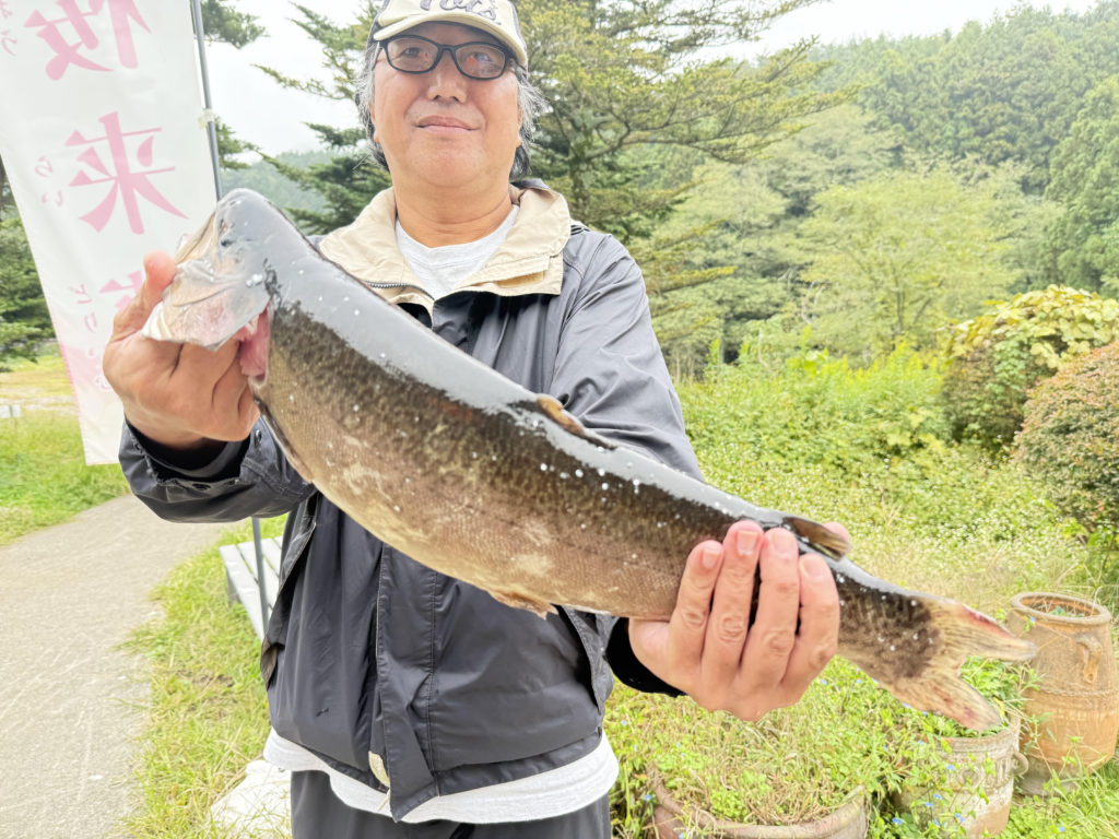 【驚ロック５３ｃｍ】全体