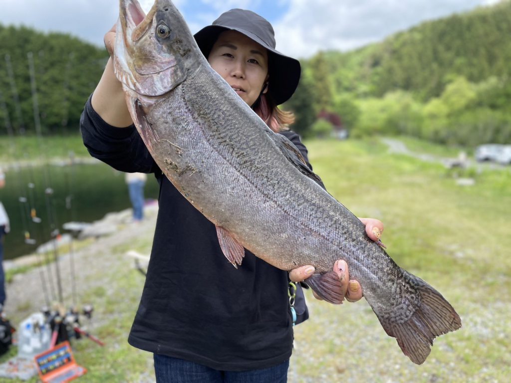 【驚ロック５６ｃｍ】全体