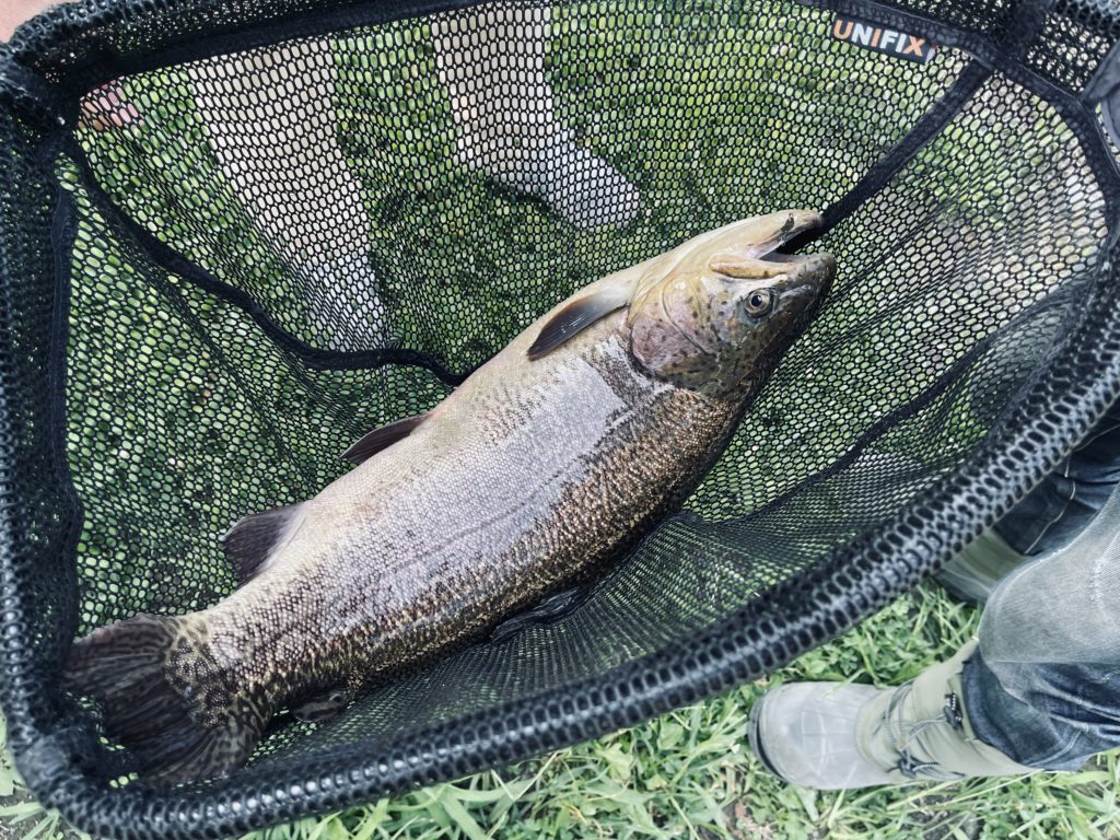 【驚ロック５６ｃｍ】全体