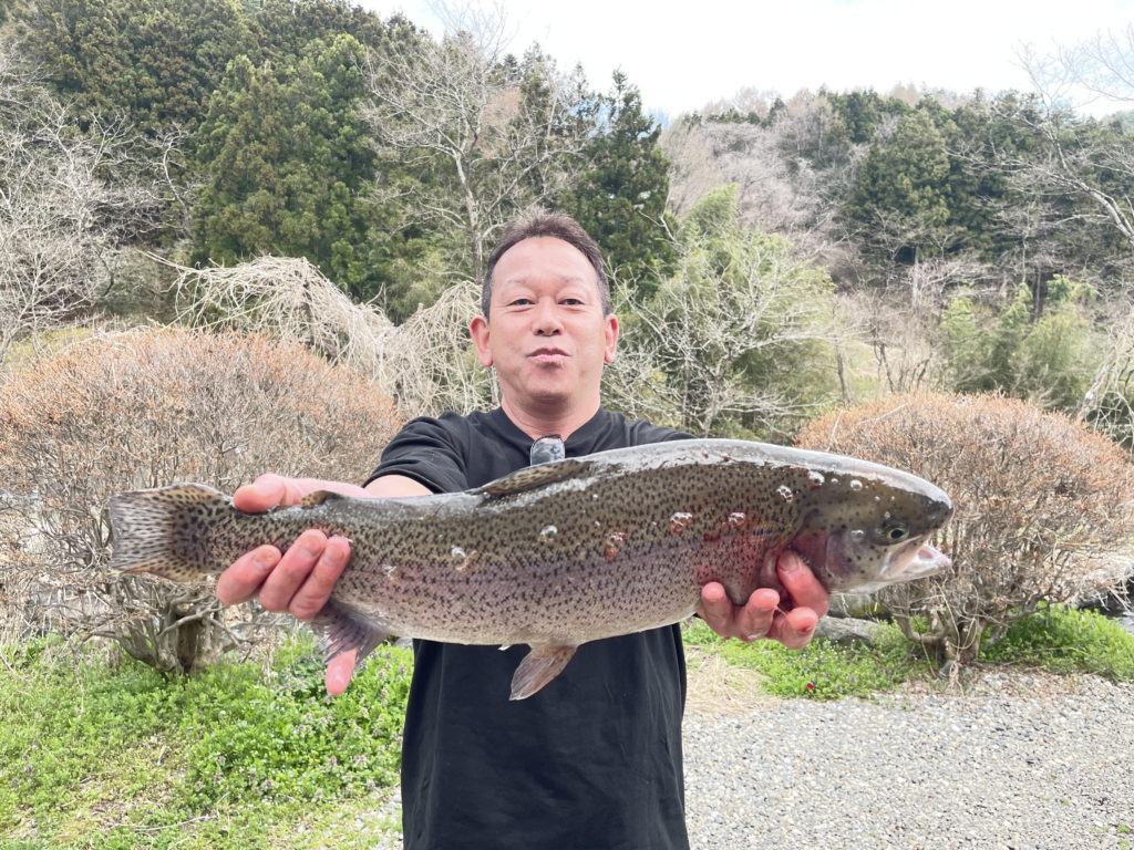 【頂鱒５５ｃｍ】全体