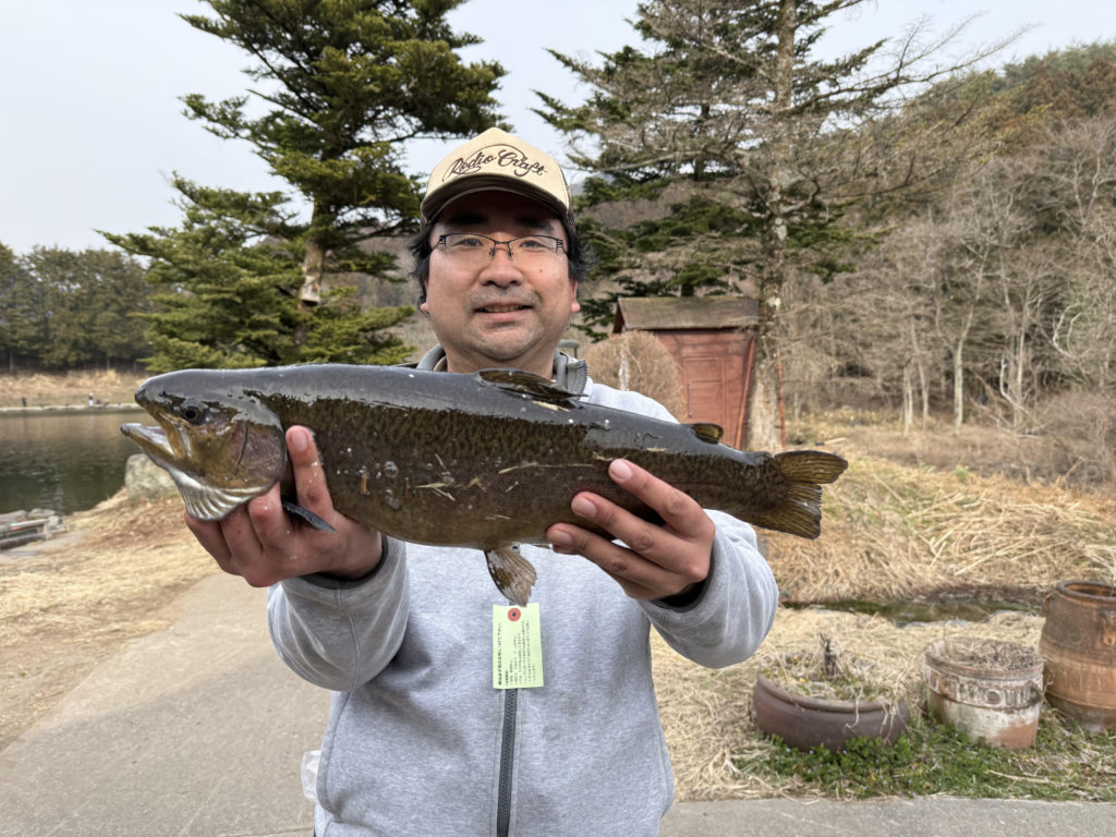 【驚ロック５２ｃｍ】全体