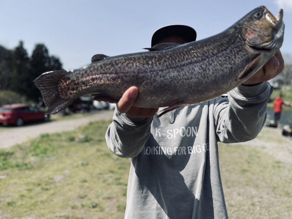 【驚ロック５０ｃｍ】全体