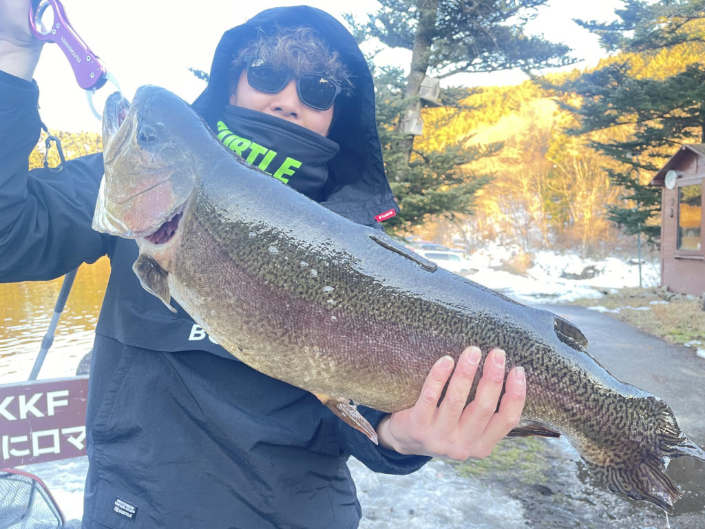 【驚ロック７２ｃｍ】全体