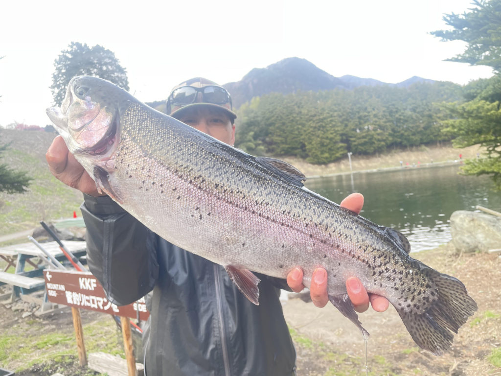 【頂鱒５５ｃｍ】全体