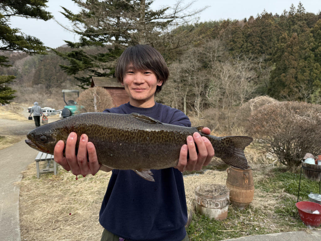 【驚ロック５２ｃｍ】全体