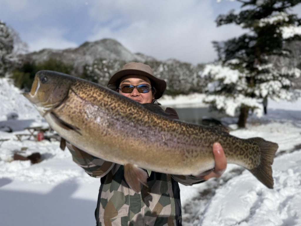 【驚ロック６１ｃｍ】全体