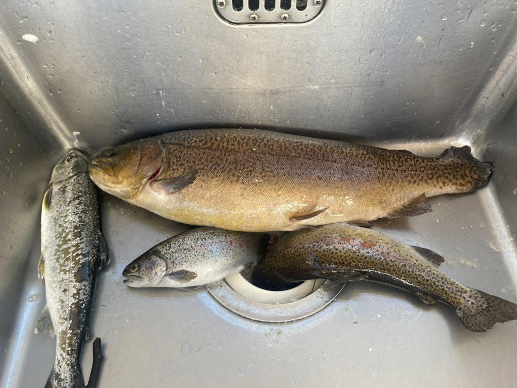 【驚ロック５２ｃｍ】全体