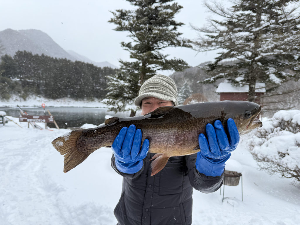 【驚ロック５８ｃｍ】全体