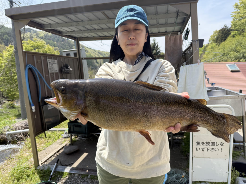 【驚ロック５６ｃｍ】全体