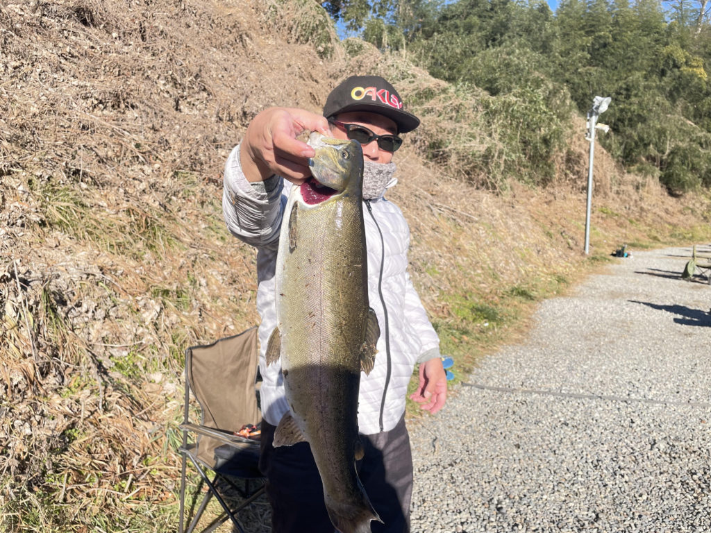 【驚ロック５５ｃｍ】全体