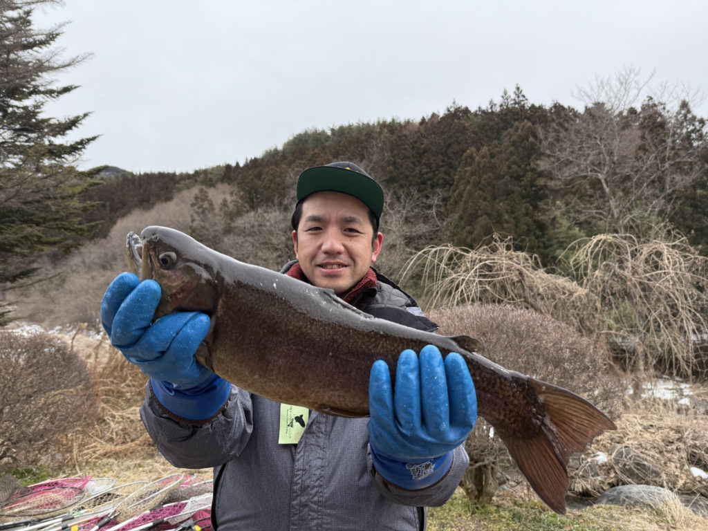 【驚ロック５９ｃｍ】全体