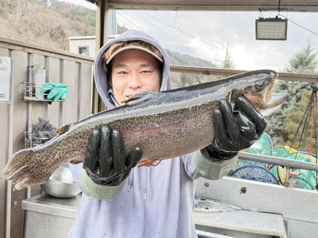 【頂鱒５３ｃｍ】全体