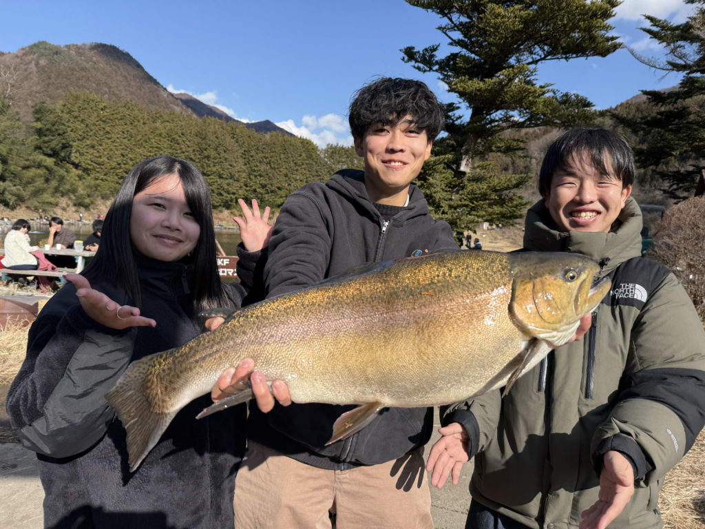 【驚ロック７１ｃｍ】全体