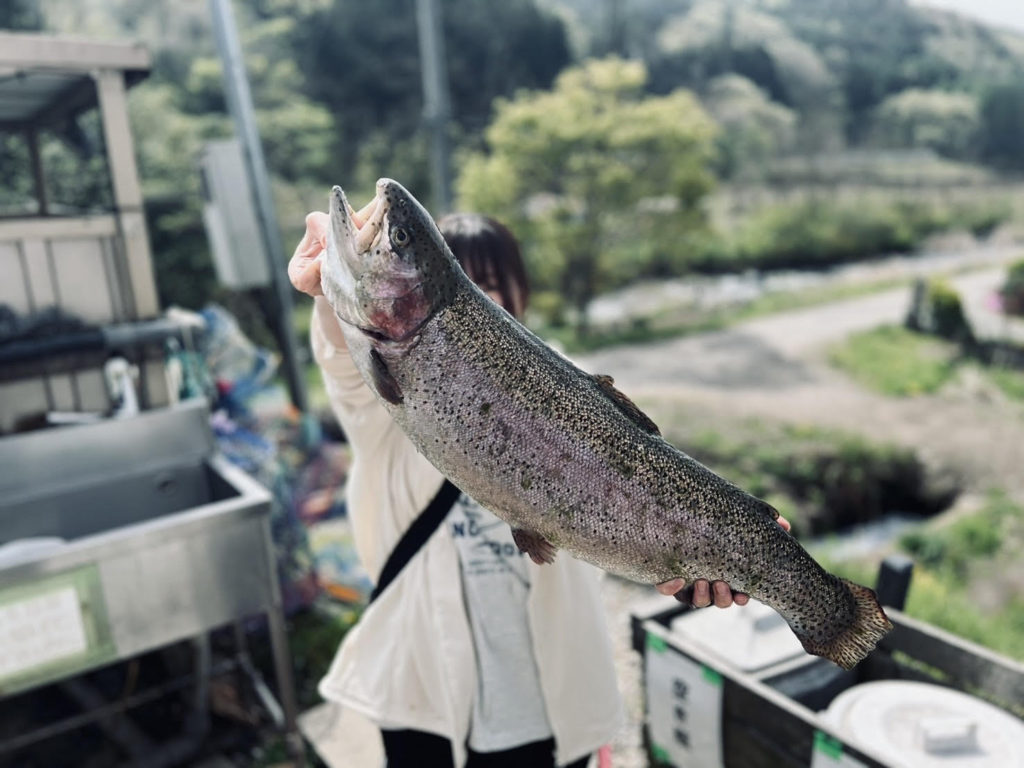 【頂鱒６７ｃｍ】全体