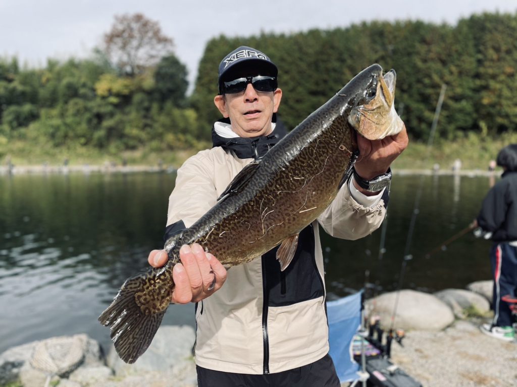 【驚ロック６０ｃｍ】全体