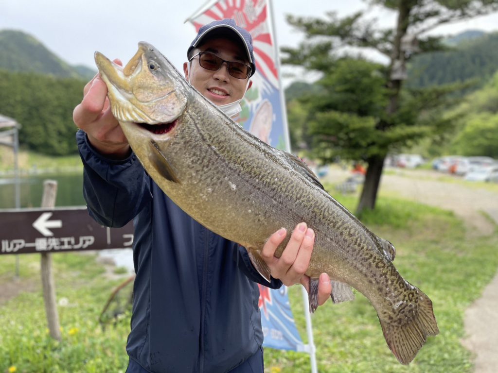 【驚ロック６２ｃｍ】全体