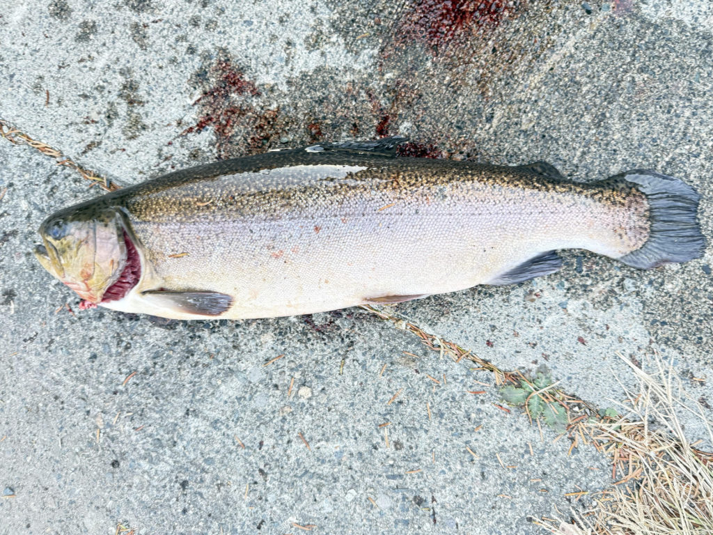 【驚ロック６２ｃｍ】全体