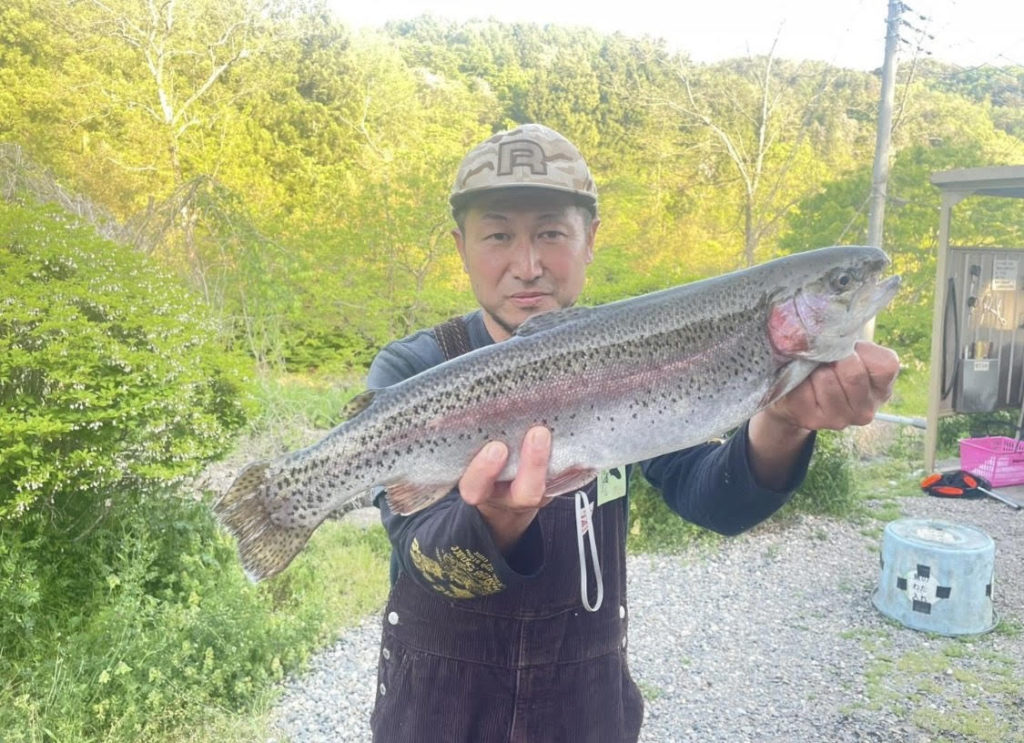 【頂鱒５５ｃｍ】全体
