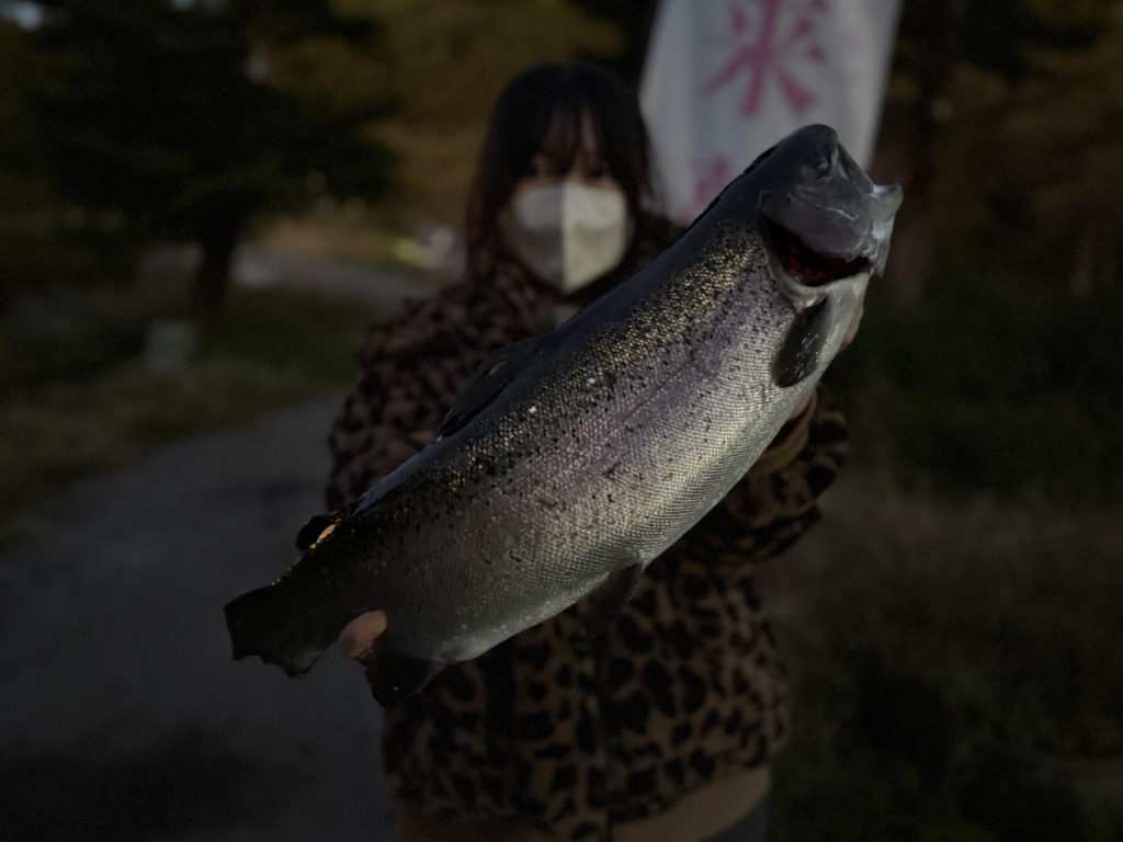 【頂鱒５２ｃｍ】全体