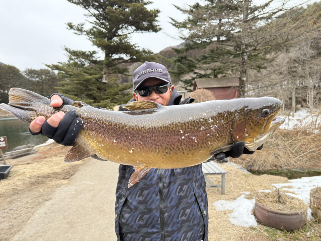 【驚ロック６０ｃｍ】全体