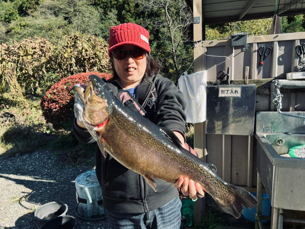 【驚ロック５３ｃｍ】全体