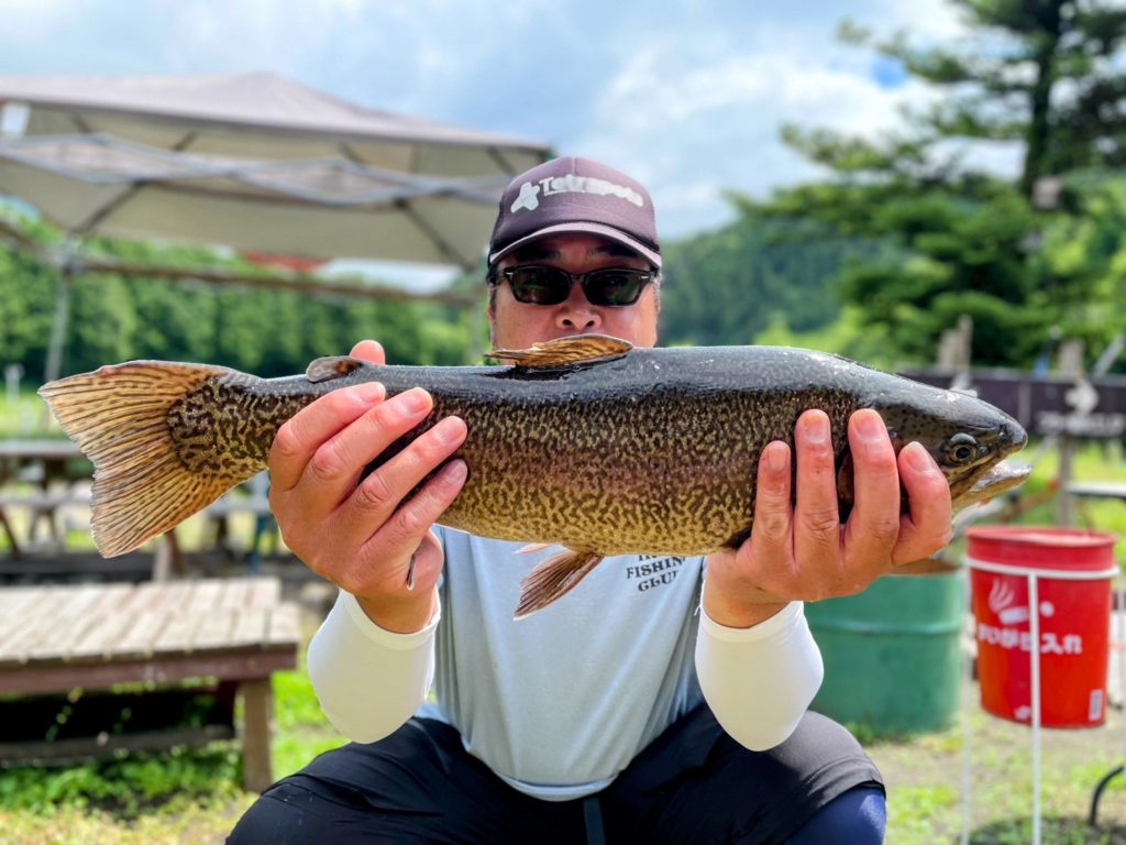 【驚ロック５３ｃｍ】全体