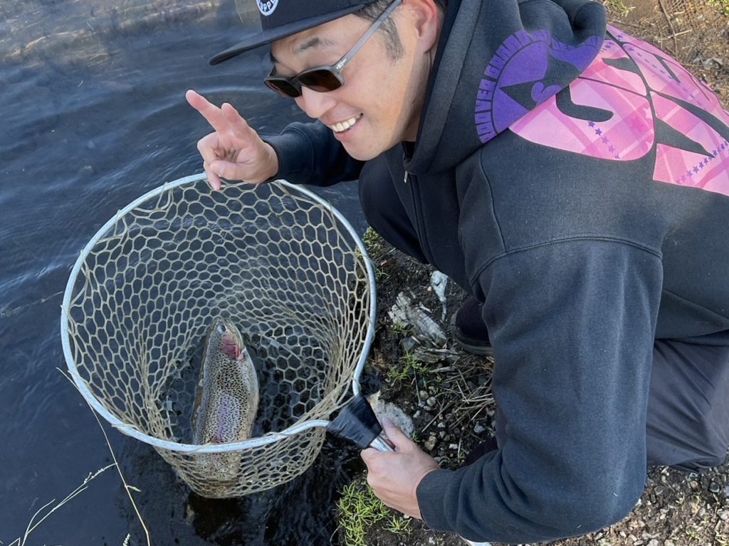 【頂鱒５０ｃｍ】全体