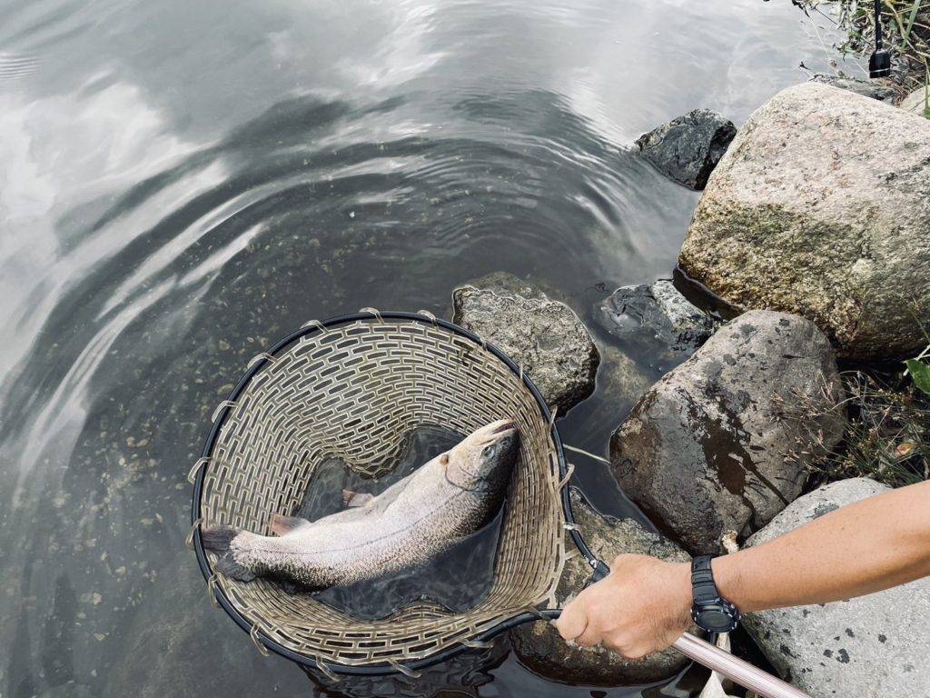 【驚ロック５６ｃｍ】全体