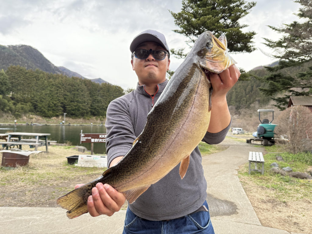 【驚ロック６４ｃｍ】全体