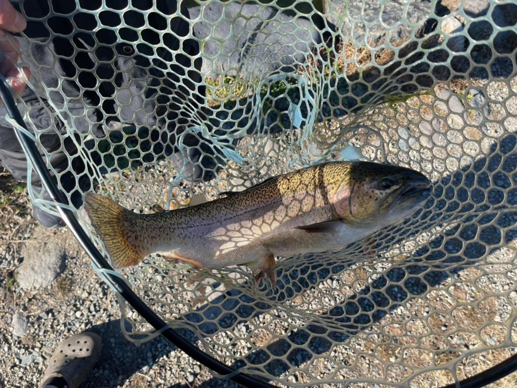 【驚ロック６０ｃｍ】全体