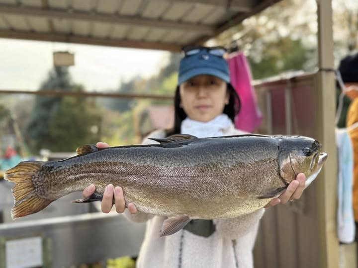 【驚ロック５８ｃｍ】全体