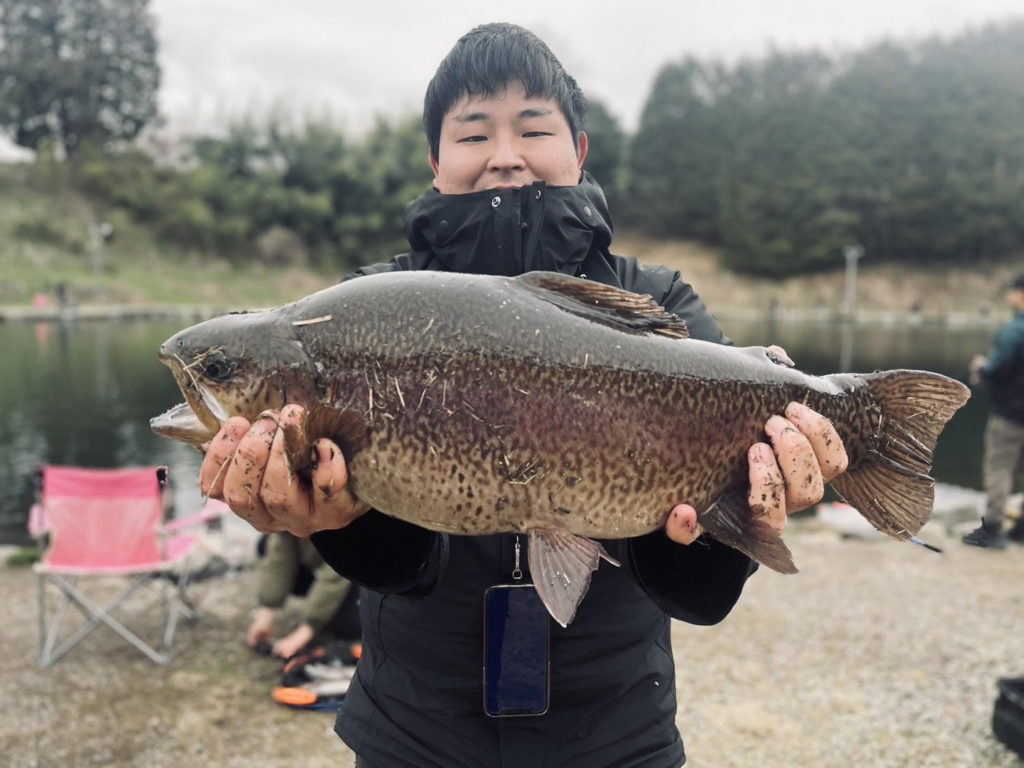 【驚ロック５５ｃｍ】全体