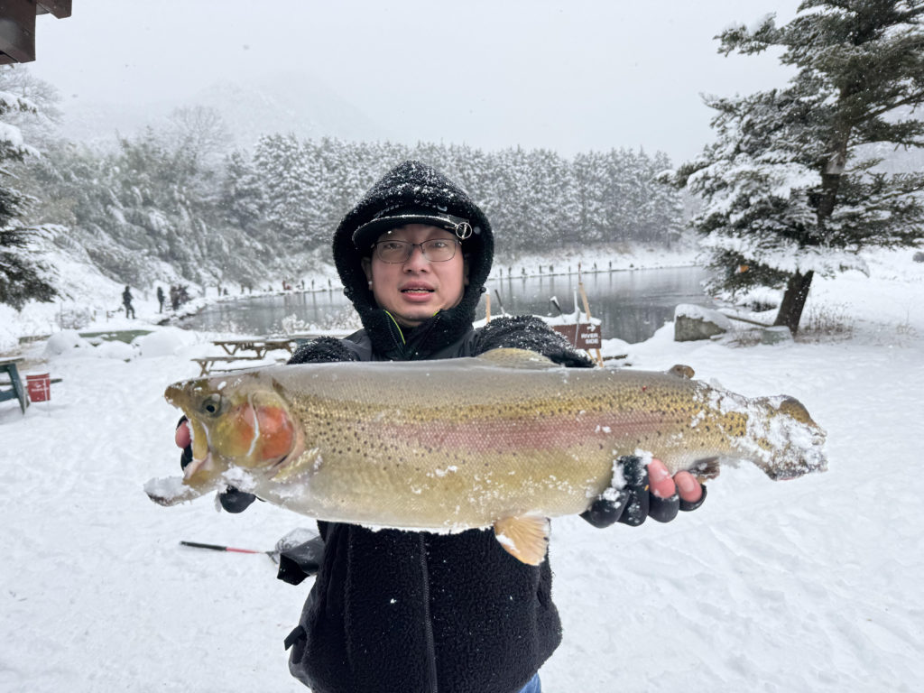 【頂鱒５６ｃｍ】全体