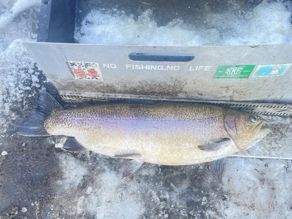 【驚ロック７８ｃｍ】全体