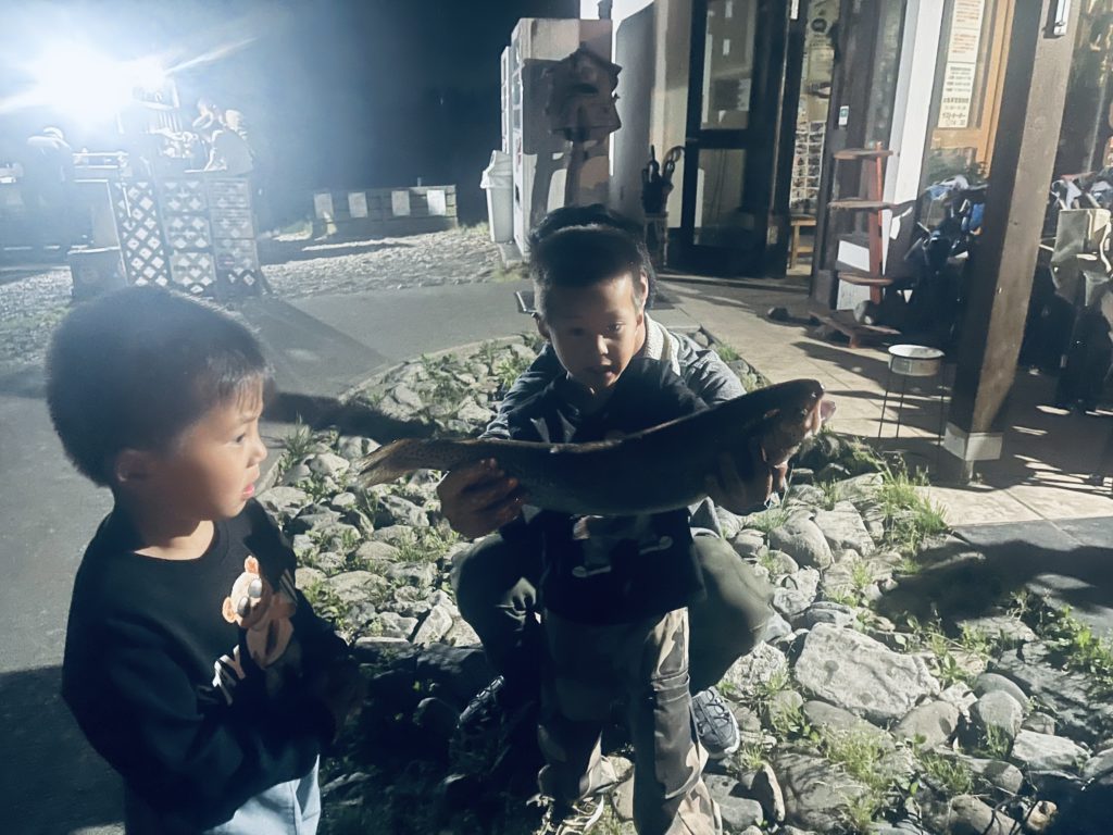 【頂鱒５５ｃｍ】全体