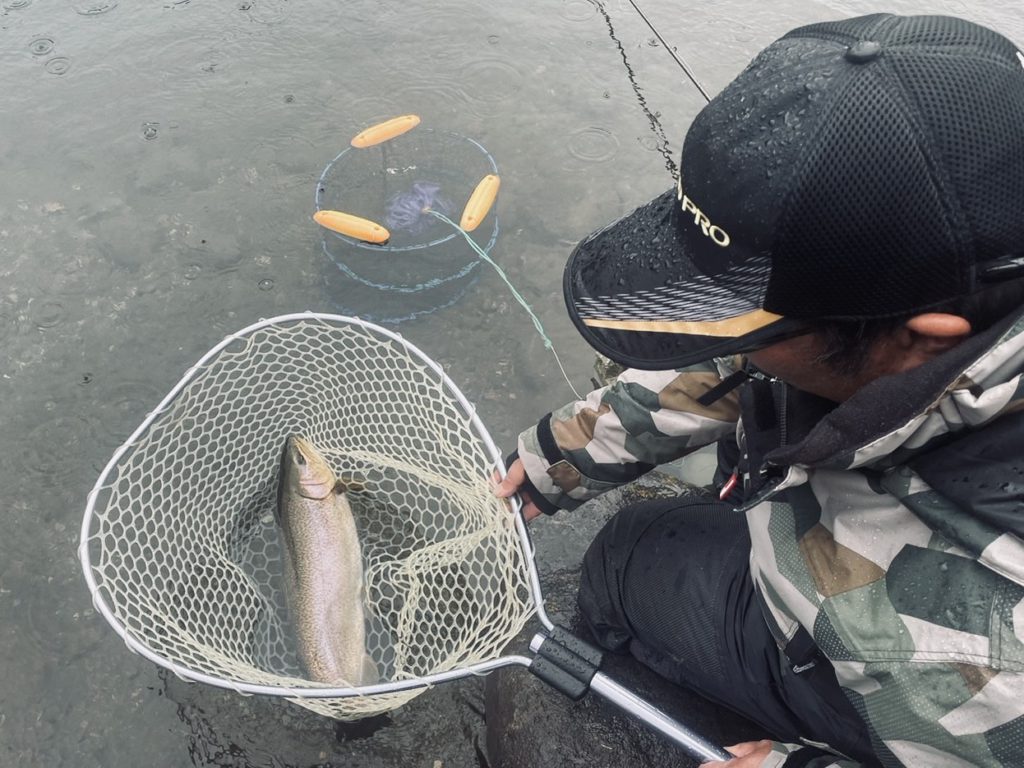 【驚ロック６２ｃｍ】全体