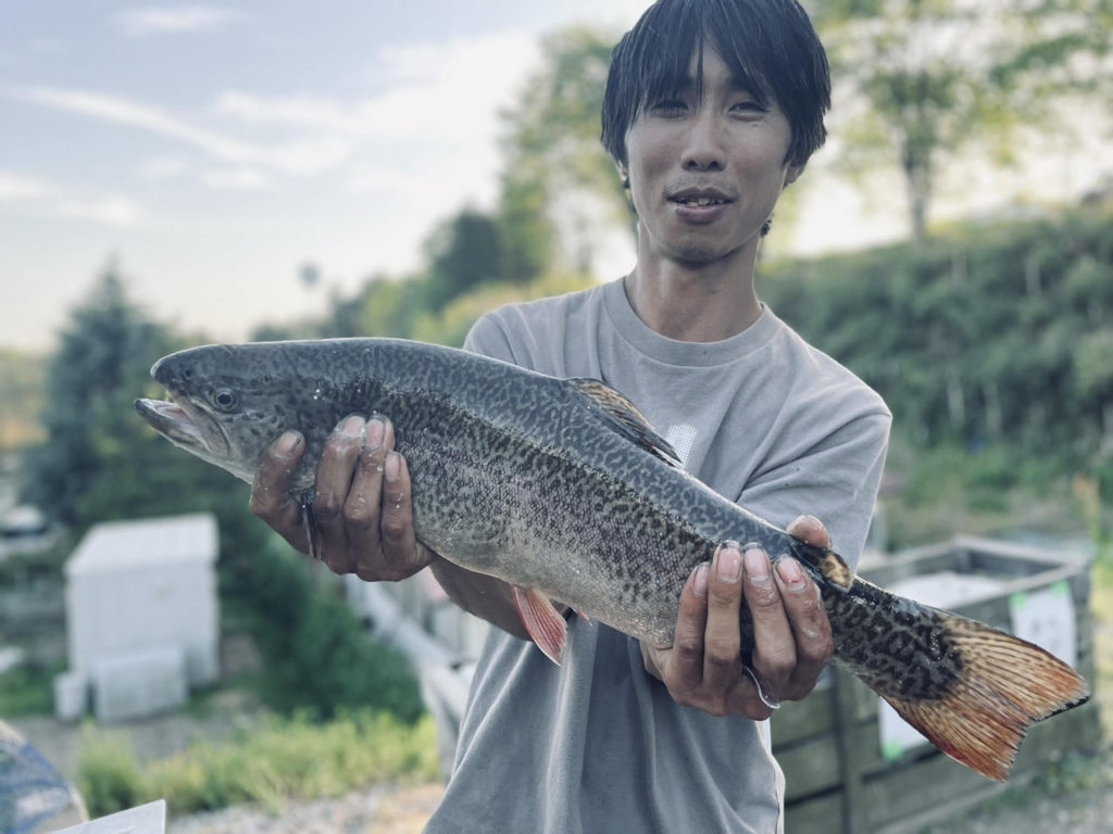 【驚ロック５２ｃｍ】全体