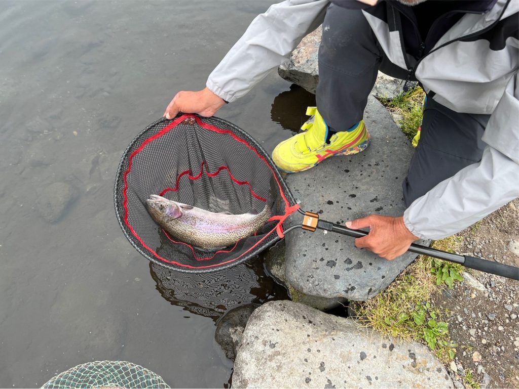 【頂鱒６０ｃｍ】全体