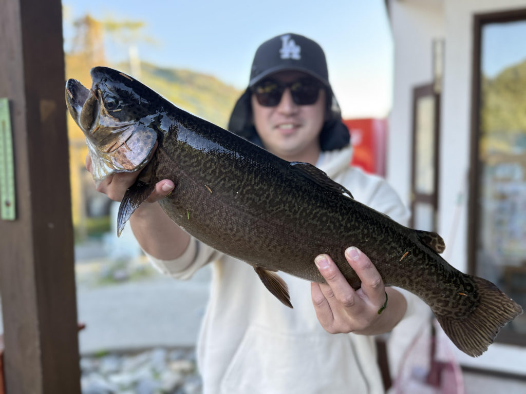 【驚ロック６０ｃｍ】全体