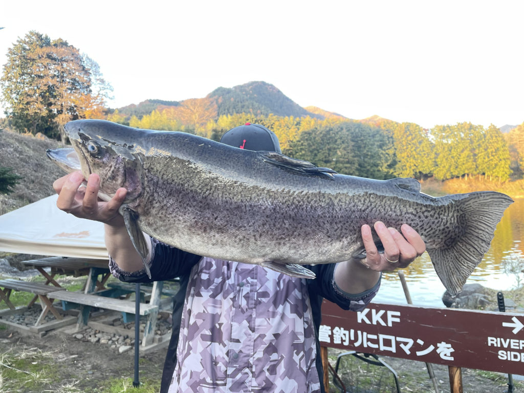 【驚ロック７３ｃｍ】全体