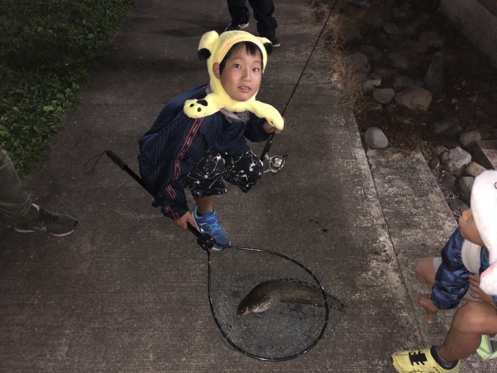 【なまず４７ｃｍ】全体