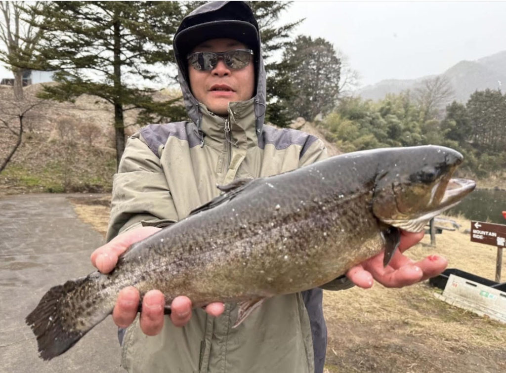 【驚ロック５２ｃｍ】全体