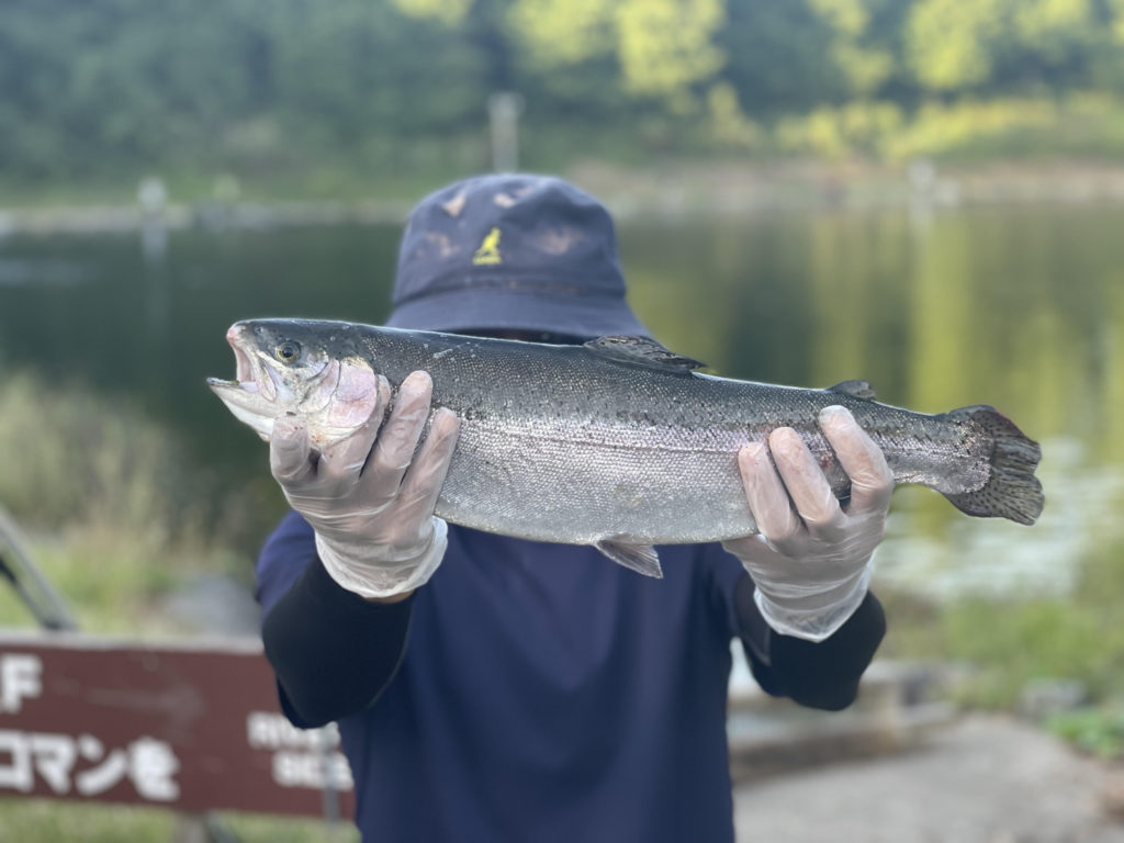 【頂鱒５０ｃｍ】全体