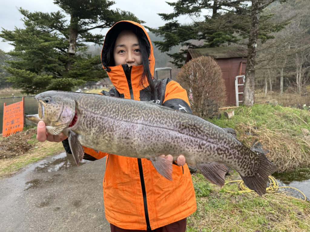 【驚ロック５８ｃｍ】全体