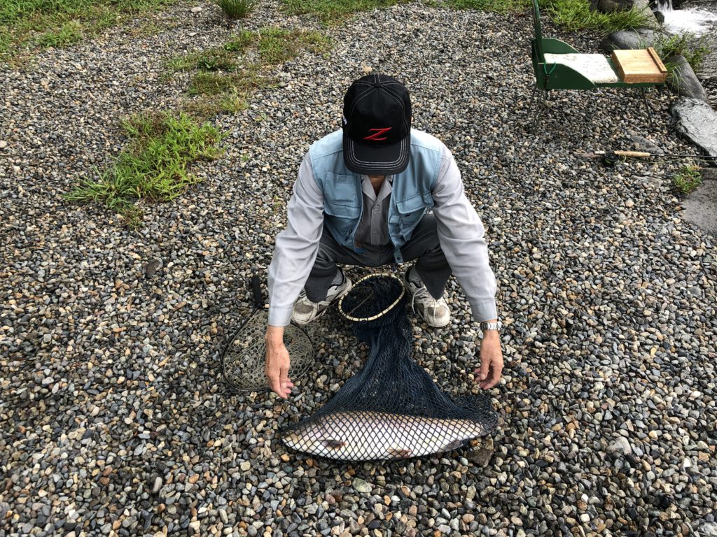 【ロックトラウト６５ｃｍ】全体